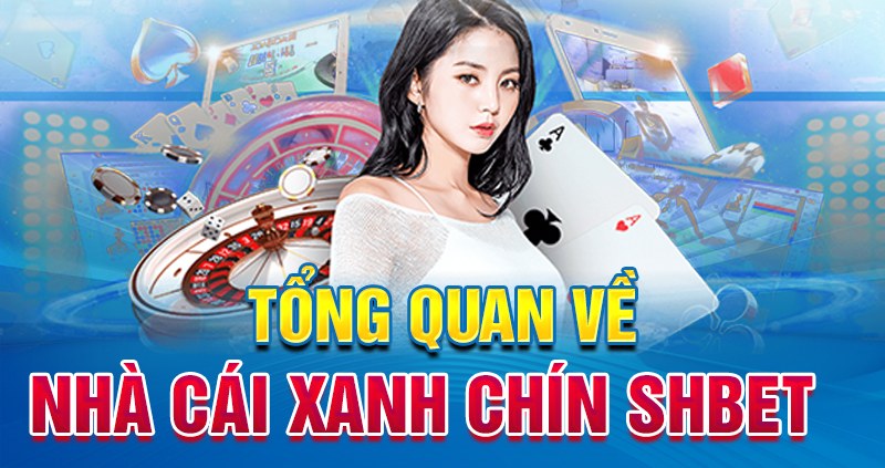 Đôi nét về nhà cái Shbet